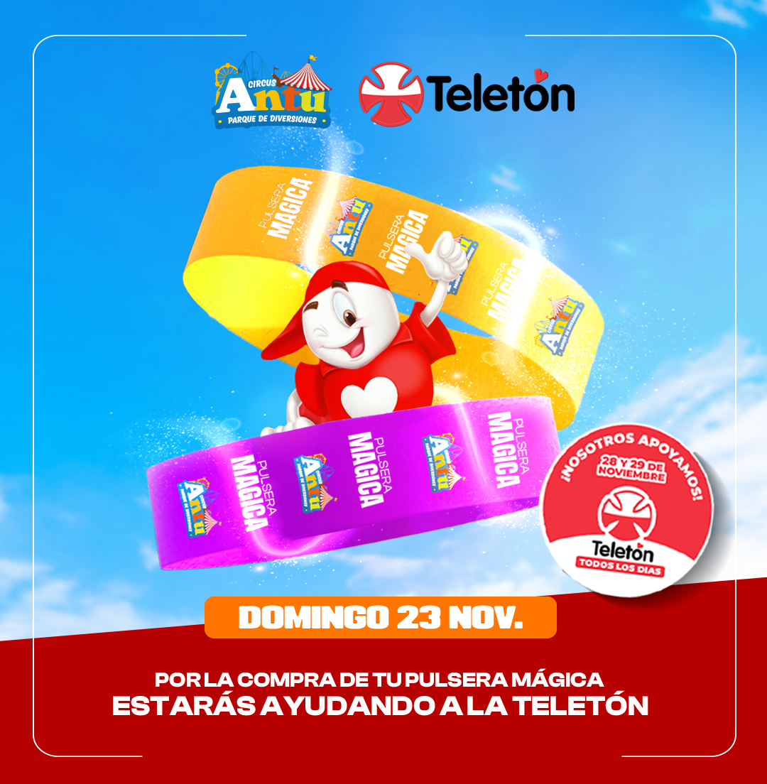 Domingo 23 Noviembre